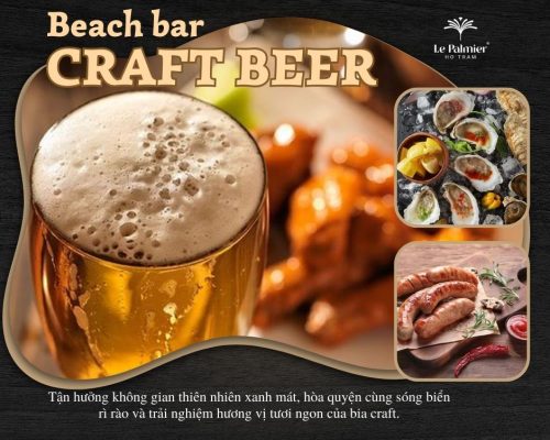 Package Craft beer layout post website
